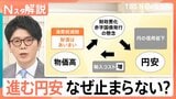進む円安…なぜ止まらない？「消費税減税」が物価高の“アクセル役”に？経済界が危惧する理由【Nスタ解説】|TBS NEWS DIG