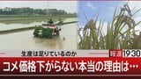 “コメの高止まりは流通の問題”はウソ　主食用のコメは40万トン減っている【報道1930】|TBS NEWS DIG