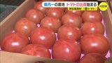 「元気が出ると言ってもらえるように」　特産のトマトの出荷はじまる　広島・神石高原町|TBS NEWS DIG