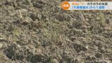 大規模漏水から1週間 カラカラの田んぼ 農業用水はいつ…再開してもブロックを分け 交代で水を利用か 愛知 | 名古屋・愛知・岐阜・三重のニュース【CBC news】 | CBC web