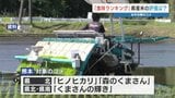 熊本のコメは何ランク？「食味ランキング」発表　「特A」「A」「A´」…熊本の4品種は悔しい結果に　　|　熊本のニュース｜RKK NEWS｜RKK熊本放送