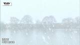 きょう酒田で雪景色 県内は日曜日から月曜日にかけて大雪やふぶきに注意(山形) | 山形のニュース│TUYテレビユー山形