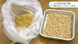 ショウガのかすを使って開発 地球にやさしい“災害用トイレ凝固剤” ネコのトイレ用の砂の製造技術を活用 | 高知のニュース・天気|KUTV NEWS | KUTVテレビ高知