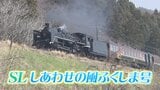 【スケジュール掲載】磐梯山やサクラと競演…「SLしあわせの風ふくしま号」11、12日運行【ふくしまDC】|TBS NEWS DIG
