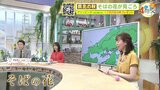 【26日(火)広島天気】晴れ間あるも雲は多め 北部や西部中心ににわか雨の所も|TBS NEWS DIG