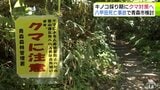 八甲田でのクマによる死亡事故を受けて　青森市が秋のキノコ採りシーズンに向け「再発防止パッケージ」をまとめて実施する方針明らかに　登山道の定期的なパトロールや有識者によるクマの行動分析など　|　青森のニュース│ATV NEWS│青森テレビ