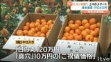 JAにしうわの早生温州ミカン東京大田市場初競りで平均価格1キロ413円を記録し過去最高を更新 愛媛|TBS NEWS DIG