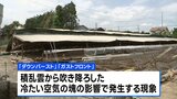 おとといの埼玉・坂戸市での突風「ダウンバースト」か「ガストフロント」の可能性　気象台が発表　養鶏場の屋根が飛ばされ電柱が倒れるなどの被害|TBS NEWS DIG