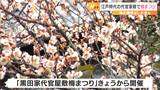 黒田家代官屋敷梅まつり始まる　「口の中で爆発させる」種飛ばし大会も＝静岡・菊川市　　|　静岡のニュース | SBSNEWS | 静岡放送
