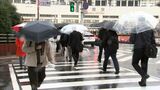各地で雷伴った激しい雨　倒木で停電も　徐々に晴れ間広がるも暴風や高波への警戒必要=静岡　|　静岡のニュース | SBSNEWS | 静岡放送