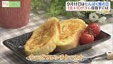 9月11日はたんぱく質の日!1日+10gを目指す『乳たんぱくレシピ3選』 | 福島のニュース│TUF