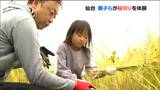 「こんなに大きくなっていたのですごいと思った」6月に自分たちで植えた『ひとめぼれ』を収穫 仙台|TBS NEWS DIG