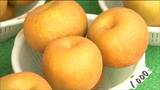 県内一のナシの産地で「梨まつり」 “幸水”や”豊水”を市価の2割~3割安く販売 開始前から300人以上が列 宮城・蔵王町|TBS NEWS DIG