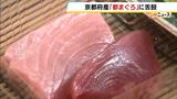 愛称は「都まぐろ」京都府産・天然クロマグロの試食会　つやつやと脂「そのわりにさっぱり…おいしい」　府のクロマグロ漁獲量は関西トップクラス　京都・舞鶴|TBS NEWS DIG