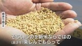 新米の季節!水不足と猛暑乗り越え 富山のコシヒカリ、収穫最盛期へ | 富山のニュース|天気・防災|チューリップテレビ