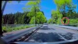 クマは木登りできる?6秒間のドラレコ映像に真相が…。誤った先入観は命取りに | 青森のニュース│ATV NEWS│青森テレビ