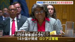 アメリカ主導の“新たな停戦案の受け入れを求める”決議案を採択　国連安全保障理事会| TBS CROSS DIG with Bloomberg