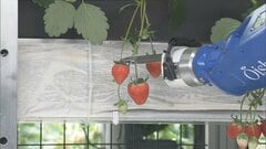 新たな植物工場の研究拠点開設　日本の技術で世界展開目指す　東京・羽村市| TBS CROSS DIG with Bloomberg