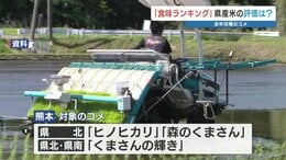 熊本のコメは何ランク？「食味ランキング」発表　「特A」「A」「A´」…熊本の4品種は悔しい結果に　　|　熊本のニュース｜RKK NEWS｜RKK熊本放送