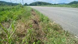 乗用車２台が正面衝突　10代の男性３人が死亡、４人が負傷　北海道大樹町|TBS NEWS DIG