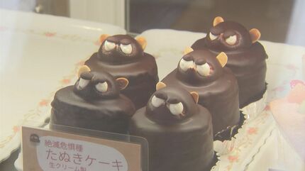 絶滅危惧種「たぬきケーキ」とは？ バタークリームにチョコ