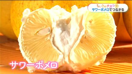 サワーポメロを使った大福に鳥刺しやマグロ丼 菓子職人（39）の挑戦