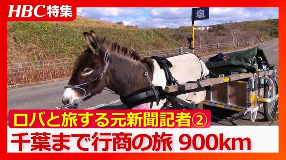 「草を食べたくて…ガス欠寸前」ロバと元新聞記者がめぐる全国旅②強風と寒さの峠越え…クマ出没に警戒しながら野宿も　北海道から千葉を目指し900kmの行商旅　|　北海道のニュース｜HBC北海道放送