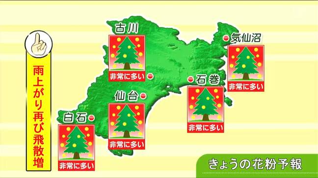 【27日宮城の天気】雨は午前中に上がりゆっくり回復へ　雨上がりで“花粉”一気に大量飛散　tbc気象台|TBS NEWS DIG