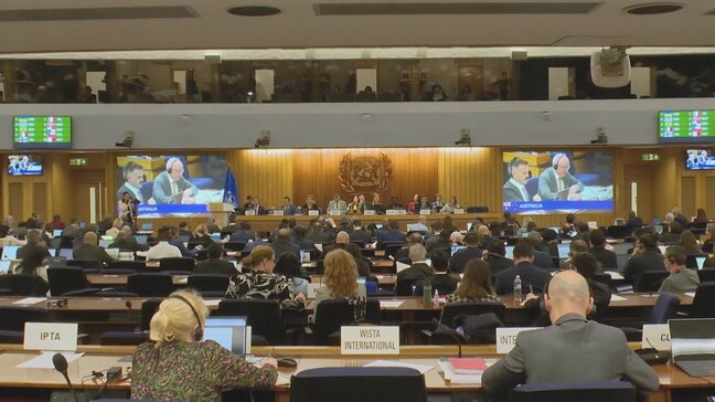 IMO ホルムズ海峡封鎖で臨時理事会 船舶・船員への影響に対処|TBS NEWS DIG