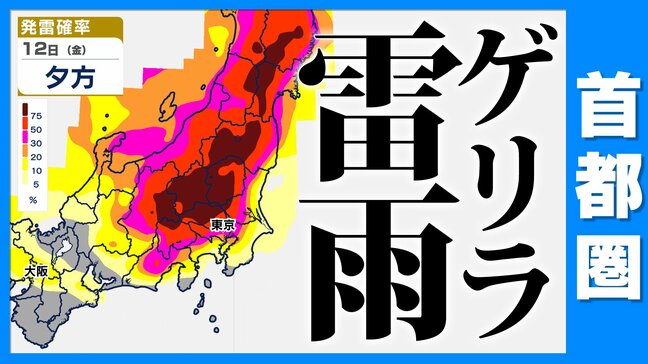 【東京首都圏 ゲリラ雷雨】おそれ 気象庁「落雷・突風・降ひょう」関東甲信に気象解説情報【雨シミュレーション / 週間予報】東京・神奈川・埼玉・千葉・群馬・栃木・茨城・山梨・長野|TBS NEWS DIG