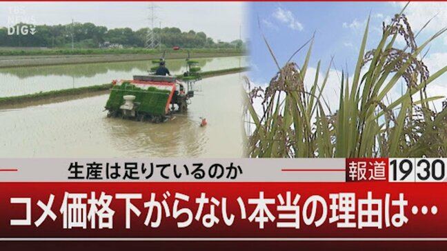 “コメの高止まりは流通の問題”はウソ　主食用のコメは40万トン減っている【報道1930】|TBS NEWS DIG