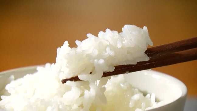 食堂「半年で2回の値上げ」街の人「麺類やパンが増えた」コメ価格高騰いつまで?備蓄米の効果は?福岡ならではの事情も |TBS NEWS DIG