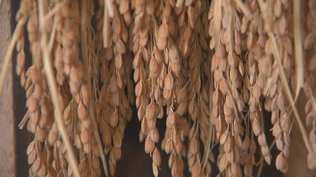 コメ高騰…酒米は仕入れ7割上昇か　日本酒発祥の地「島根県」が窮地「企業努力でなんとかの数字はとっくに超えた」酒造組合が支援要望|TBS NEWS DIG