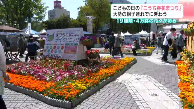 ４万鉢の花々が会場を彩る！こどもの日の「こうち春花まつり」家族連れで賑わう【高知】|TBS NEWS DIG