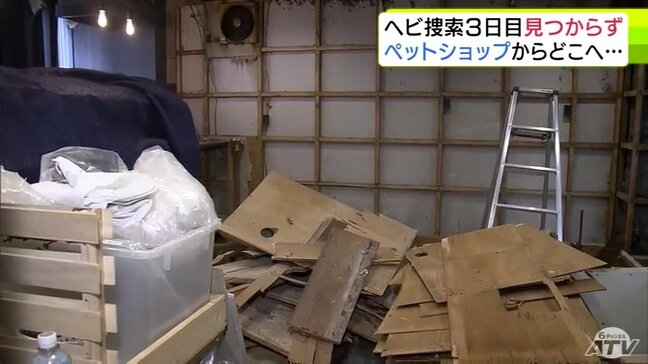 【続報】体長約3mの“消えたヘビ” 捜索3日目も見つからず「痕跡等は見つかっていない状況」店の壁や床をはがすなどしてさがすも… 青森県青森市|TBS NEWS DIG