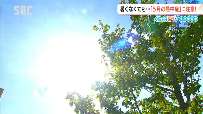 5月の熱中症に注意【くらピタ！】夏の熱中症との違いや対策は？キーワードは「暑熱順化」　「3食しっかり食べる、こまめな水分補給」|TBS NEWS DIG