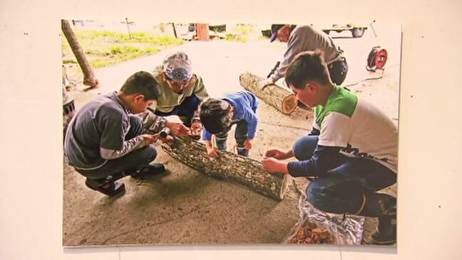 変わりゆくふるさとの姿をカメラに…浪江町津島から避難の女性が写真展　福島・三春町|TBS NEWS DIG