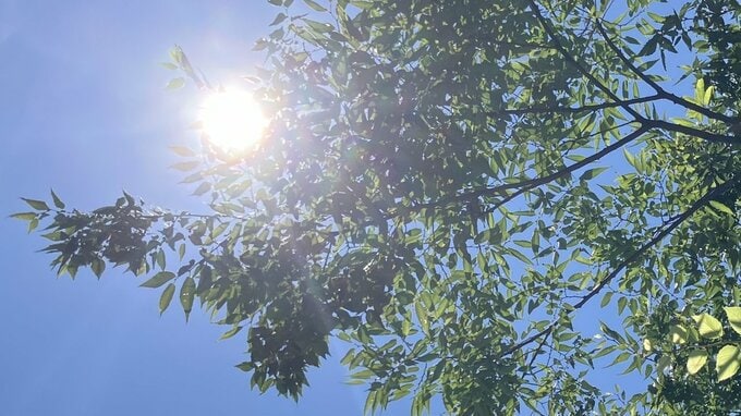 「湿気がすごくて暑い」南部34.4度、甲府33.9度　甲府は2日連続の猛暑日予想　熱中症に警戒　【午前11時30分】　|　山梨のニュース | ＵＴＹテレビ山梨