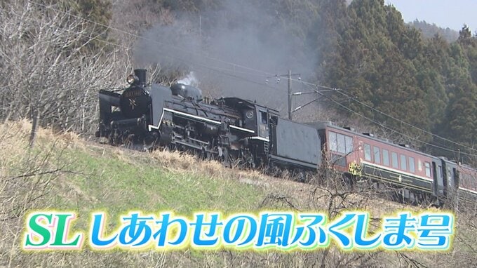 【スケジュール掲載】磐梯山やサクラと競演…「SLしあわせの風ふくしま号」11、12日運行【ふくしまDC】|TBS NEWS DIG