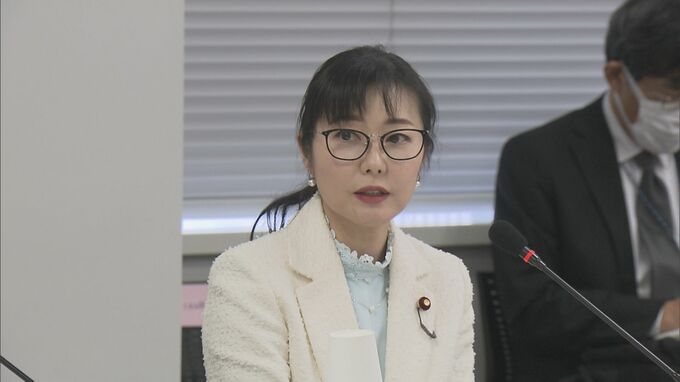 「高齢社会対策大綱」改定に向け検討会開催　有識者から「高齢者のスキルアップを目指すべき」|TBS NEWS DIG