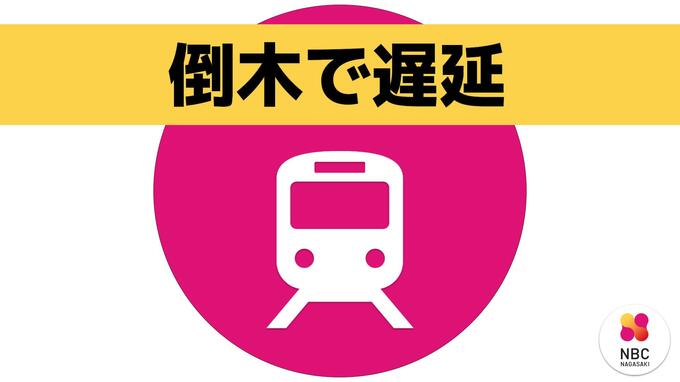 【鉄道情報】MR松浦鉄道　倒木の影響で遅延発生　雨の影響か|TBS NEWS DIG