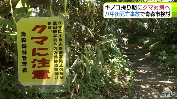 八甲田でのクマによる死亡事故を受けて　青森市が秋のキノコ採りシーズンに向け「再発防止パッケージ」をまとめて実施する方針明らかに　登山道の定期的なパトロールや有識者によるクマの行動分析など|TBS NEWS DIG