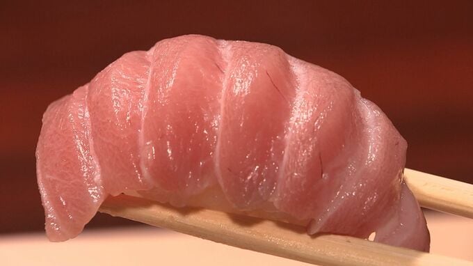 「クロマグロ」水産庁が来シーズンの国内配分を正式決定　太平洋での漁獲枠1.5倍増受け|TBS NEWS DIG