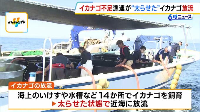 イカナゴ不漁を救え！兵庫漁連が“太らせた”イカナゴ約13万匹放流　漁獲量は年々減少…ことしの漁はわずか2日で終了　「くぎ煮文化を忘れることなく継承していただきたい」　|　MBSニュース | 関西の最新ニュースを分かりやすく。