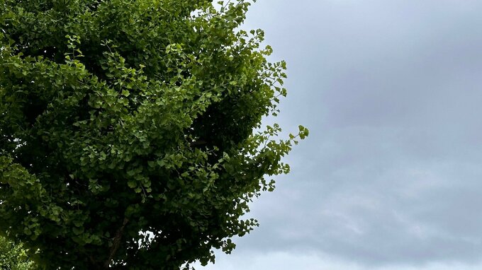 石川県内この後大雨の様相 JR北陸線では朝の特急列車4本を計画運休　|　石川県のニュース｜MRO北陸放送