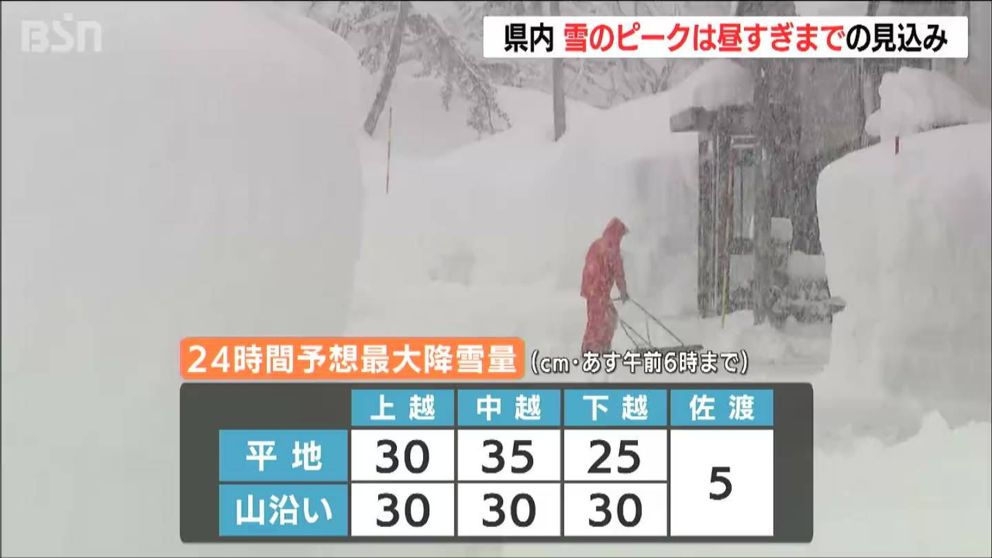 新潟県内 雪のピークは29日昼過ぎまでの見込み 魚沼市守門では積雪3