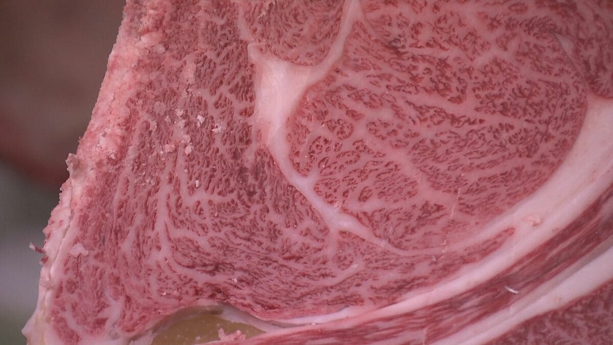 極上の牛肉、1キロ4500円で落札！　味自慢の牛肉が結集「県畜産共進会」　肥育技術向上に手ごたえ　