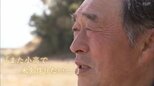 「コメ作りを絶やさない」津波にのまれた故郷で再起 13年ぶり田植え 福島 | 福島のニュース│TUF