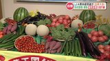 秋冬の野菜・果物出荷量「昨年度より300トン多い」計画 ミニトマト・スイカが好調 JA熊本 | 熊本のニュース|RKK NEWS|RKK熊本放送