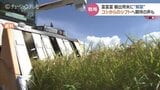高温に強い富山米「富富富」 中華圏などへ輸出“解禁” 生産拡大にスピード感 富山|TBS NEWS DIG
